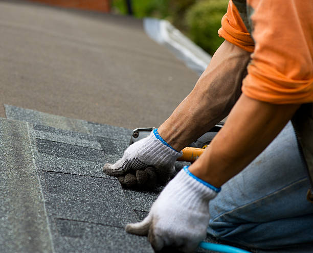 Quick and Trustworthy Emergency Roof Repair Services in Croydon, PA